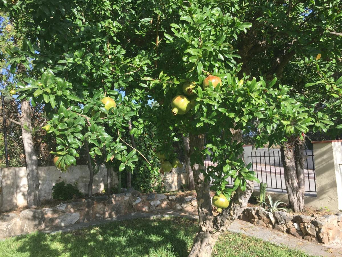 Alhaurín de la Torre Vakantieverblijf Villa Kluever מראה חיצוני תמונה