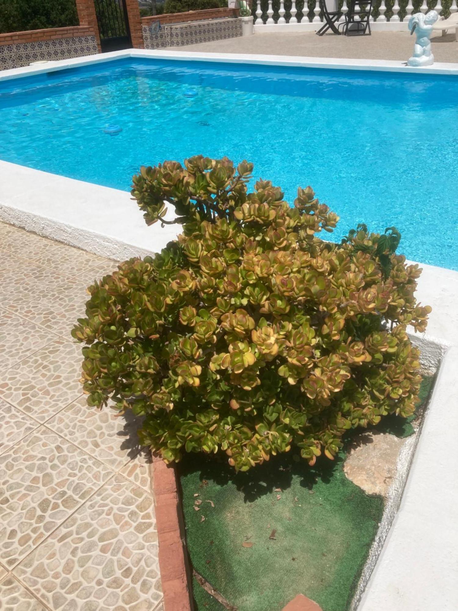 Alhaurín de la Torre Vakantieverblijf Villa Kluever מראה חיצוני תמונה